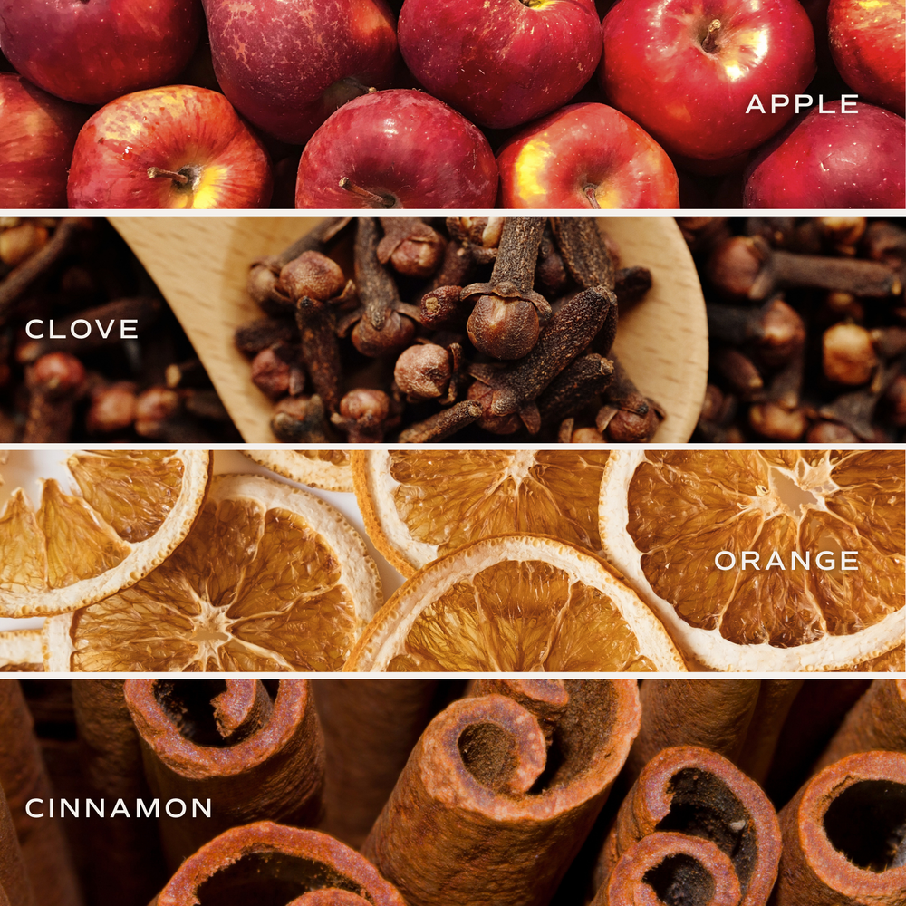 Diffuser with reeds on a wooden surface next to a plant. Farmhouse Diffuser by Sweet Water Decor.